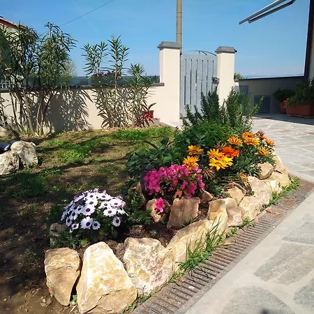 Berlicche Agliana